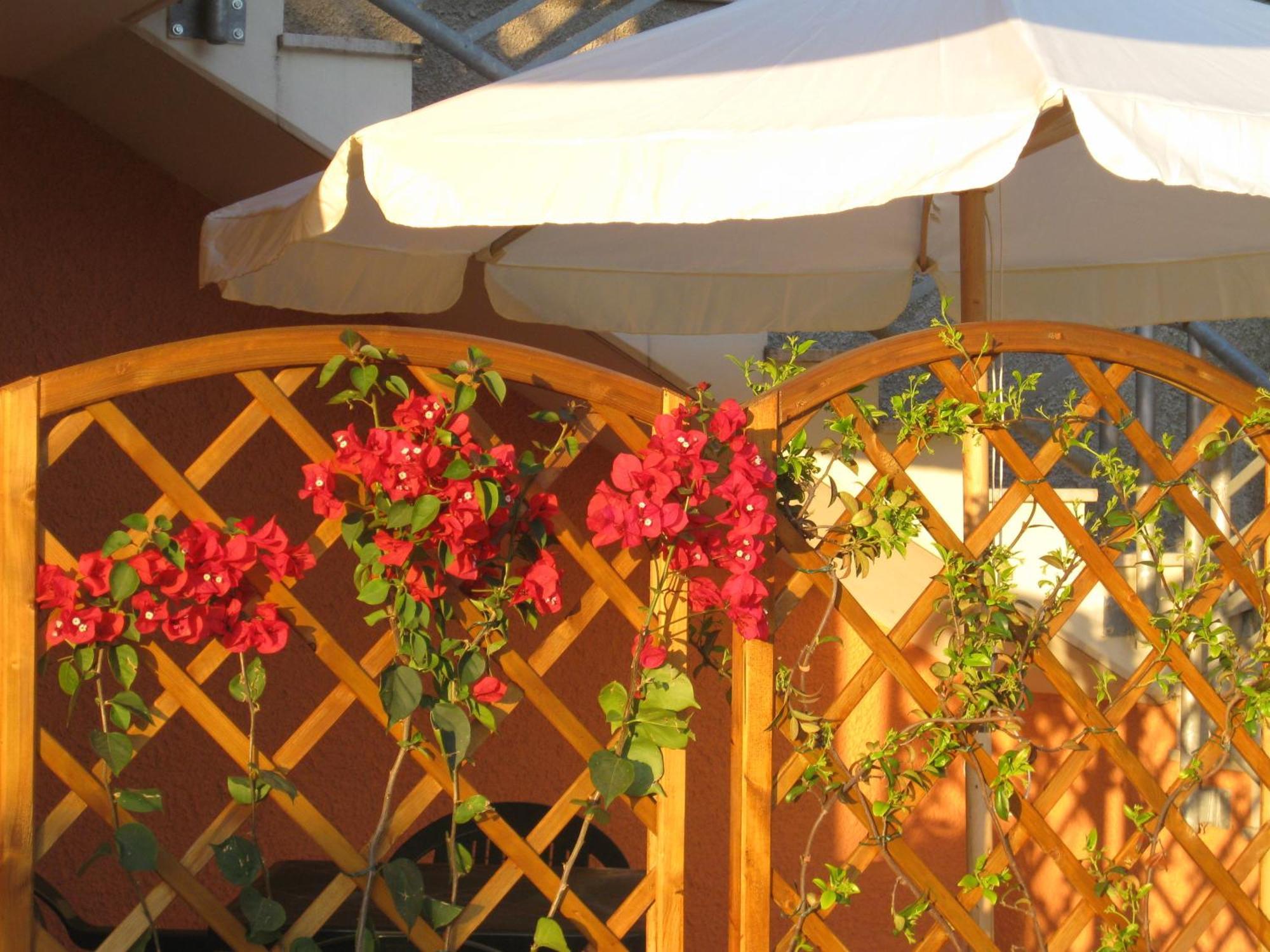 A Due Passi Dal Mare B&B Numana Exterior photo