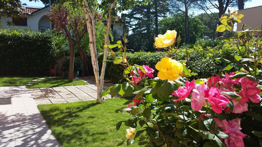 A Due Passi Dal Mare B&B Numana Exterior photo