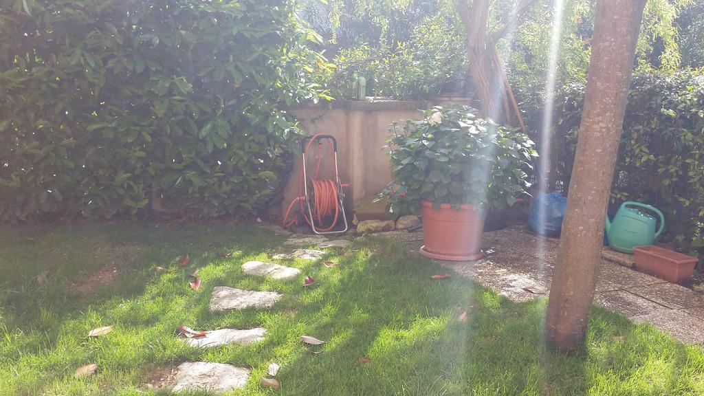 A Due Passi Dal Mare B&B Numana Exterior photo